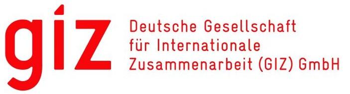 GIZ logo